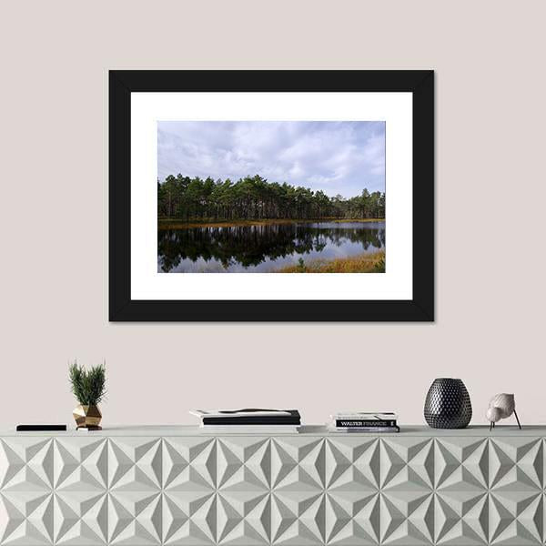 Swamp Viru Raba In Estonia Canvas Wall Art-1 Piece-Framed Print-20" x 16"-Tiaracle