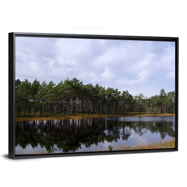 Swamp Viru Raba In Estonia Canvas Wall Art-3 Horizontal-Gallery Wrap-25" x 16"-Tiaracle