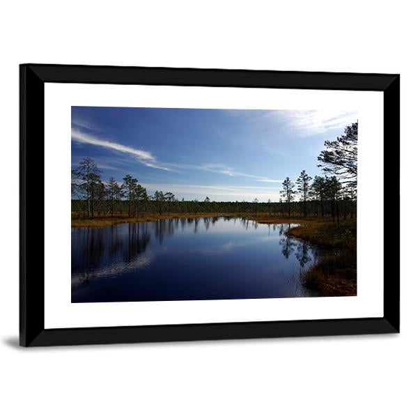 Swamp Viru Raba In Estonia Canvas Wall Art-3 Horizontal-Gallery Wrap-25" x 16"-Tiaracle