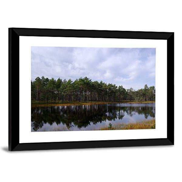 Swamp Viru Raba In Estonia Canvas Wall Art-3 Horizontal-Gallery Wrap-25" x 16"-Tiaracle