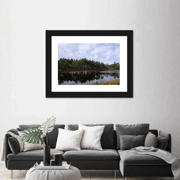 Swamp Viru Raba In Estonia Canvas Wall Art-3 Horizontal-Gallery Wrap-25" x 16"-Tiaracle