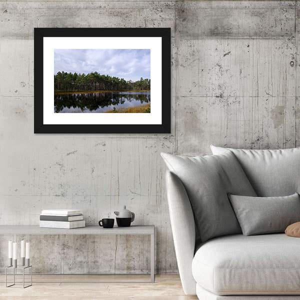 Swamp Viru Raba In Estonia Canvas Wall Art-3 Horizontal-Gallery Wrap-25" x 16"-Tiaracle