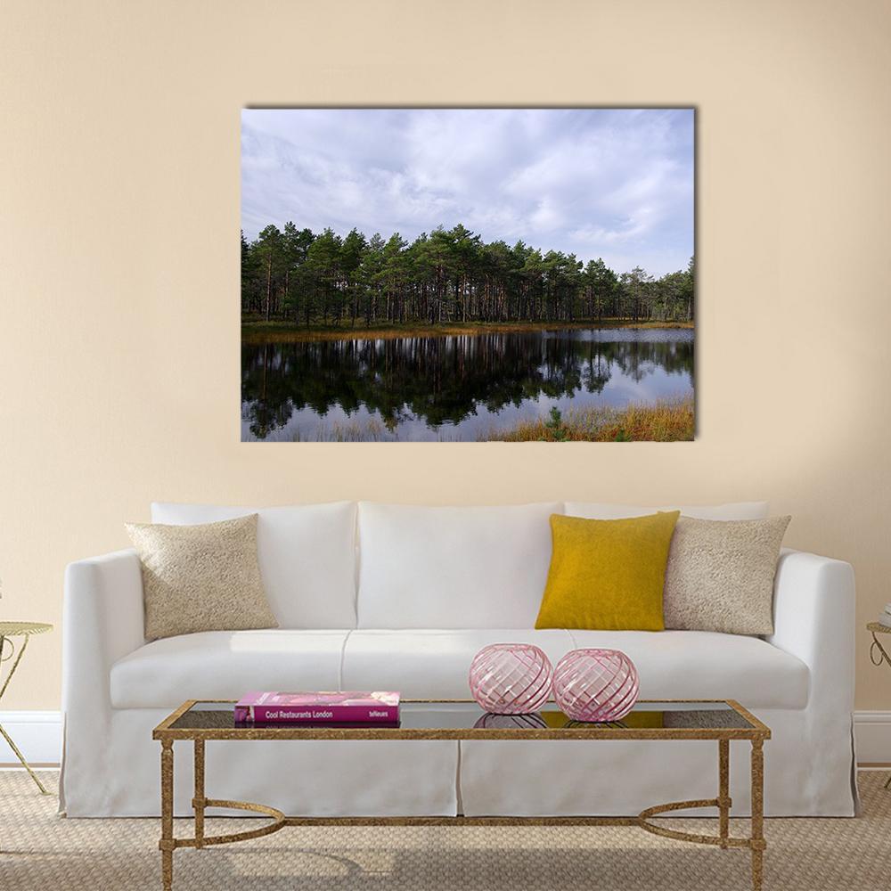 Viru Raba Swamp in Estonia Canvas Wall Art in gray, green and blue, single panel hung on a wall