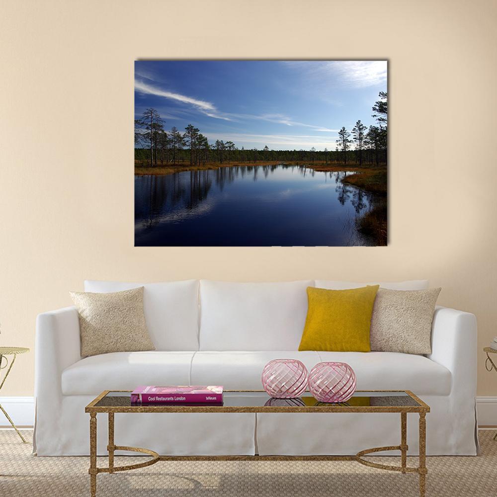 Viru Raba Swamp in Estonia Canvas Wall Art in brown, green and blue, single panel hung on a wall