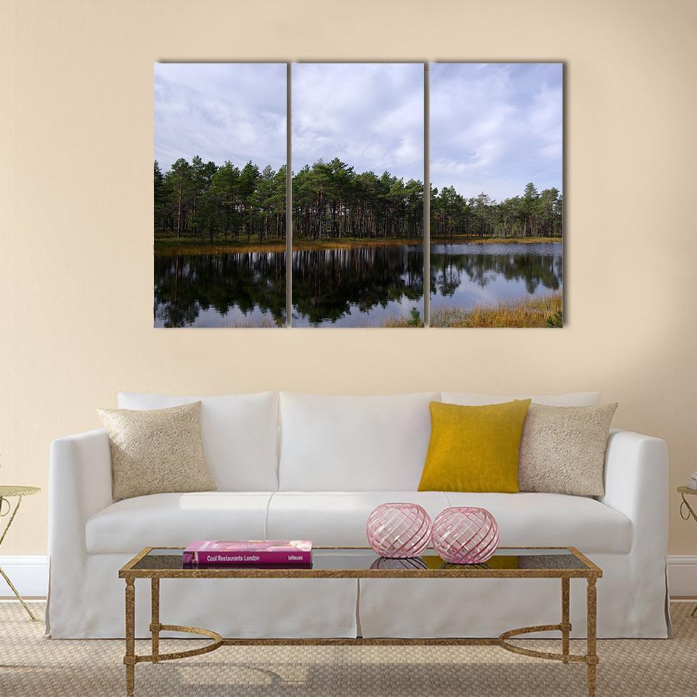 Swamp Viru Raba In Estonia Canvas Wall Art-3 Horizontal-Gallery Wrap-37" x 24"-Tiaracle
