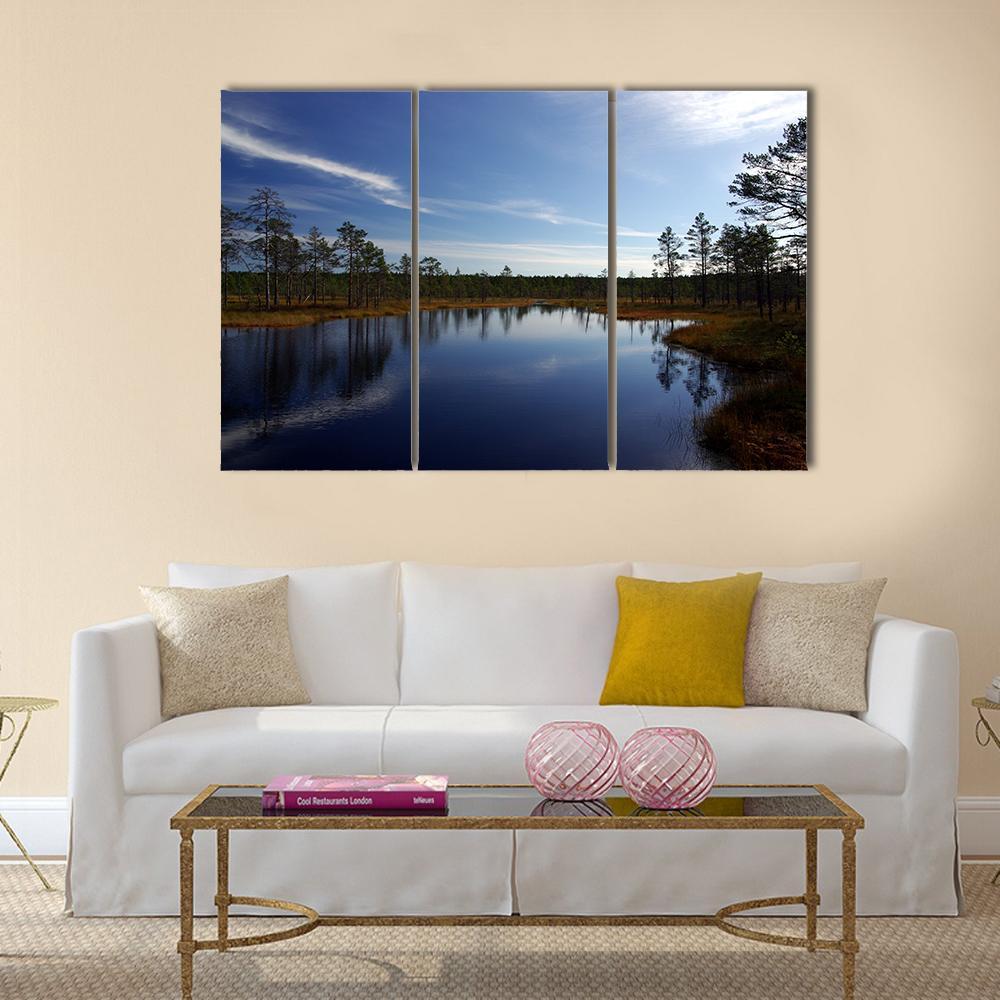 Swamp Viru Raba In Estonia Canvas Wall Art-3 Horizontal-Gallery Wrap-37" x 24"-Tiaracle