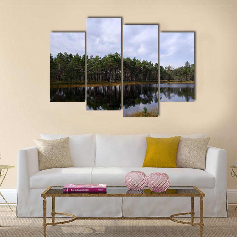 Swamp Viru Raba In Estonia Canvas Wall Art-4 Pop-Gallery Wrap-50" x 32"-Tiaracle
