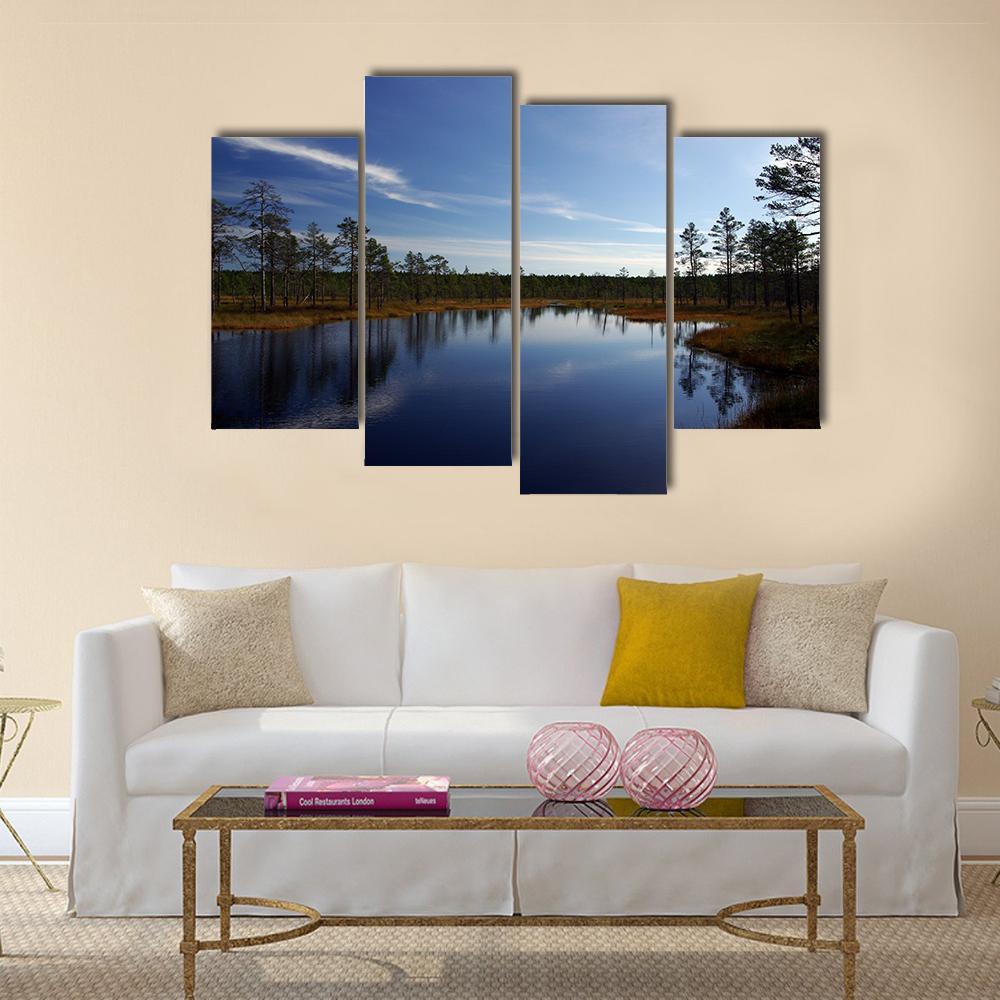 Swamp Viru Raba In Estonia Canvas Wall Art-4 Pop-Gallery Wrap-50" x 32"-Tiaracle