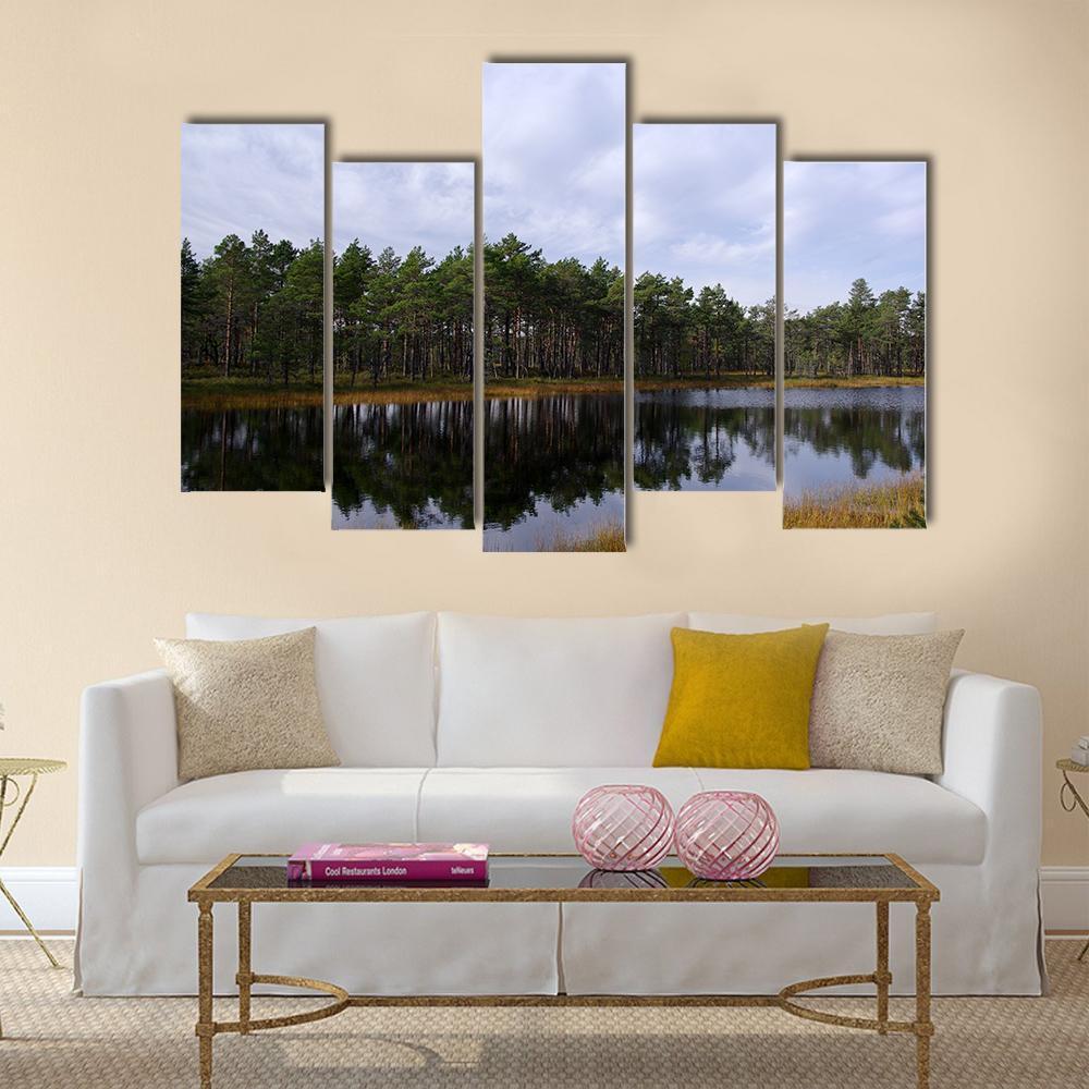 Swamp Viru Raba In Estonia Canvas Wall Art-5 Pop-Gallery Wrap-47" x 32"-Tiaracle