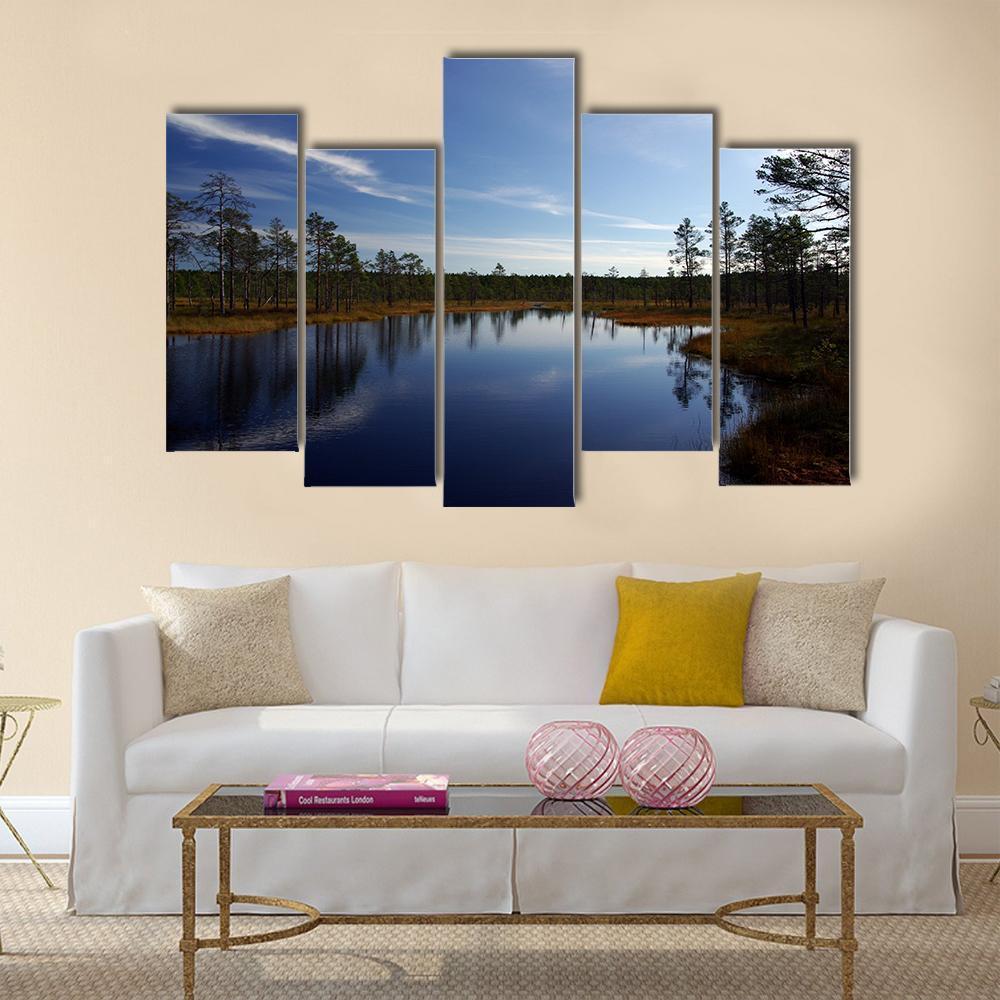 Swamp Viru Raba In Estonia Canvas Wall Art-5 Pop-Gallery Wrap-47" x 32"-Tiaracle
