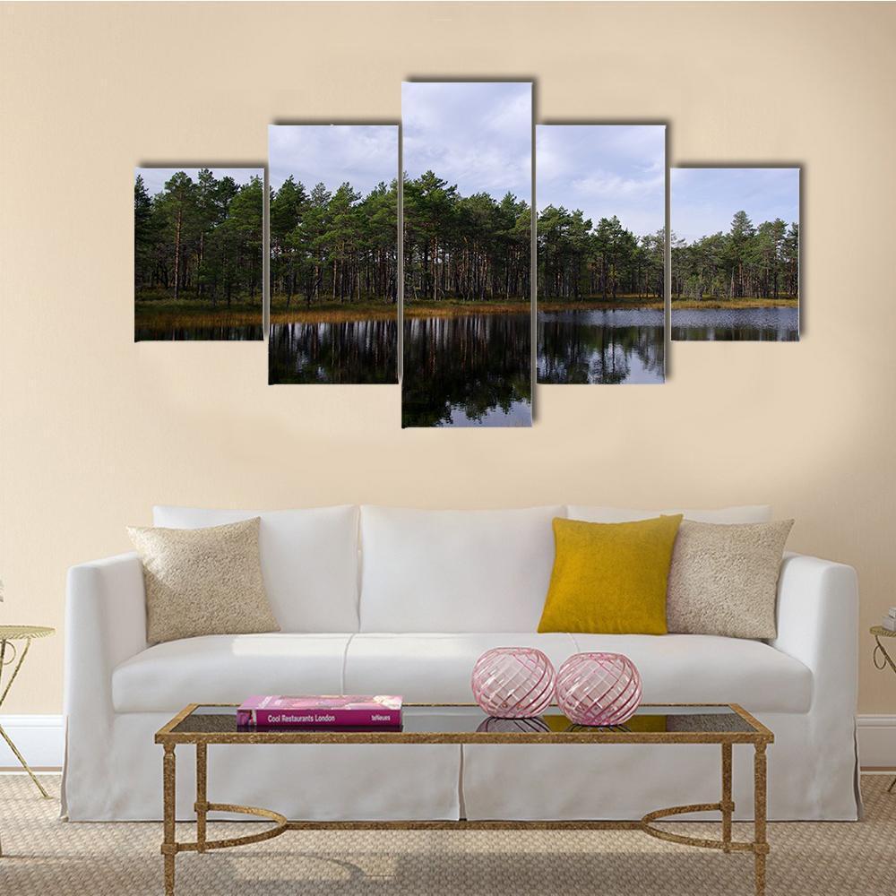 Swamp Viru Raba In Estonia Canvas Wall Art-4 Pop-Gallery Wrap-50" x 32"-Tiaracle