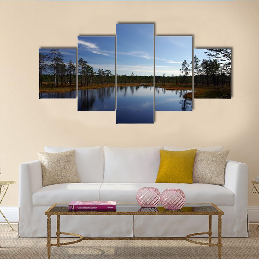 Swamp Viru Raba In Estonia Canvas Wall Art-4 Pop-Gallery Wrap-50" x 32"-Tiaracle