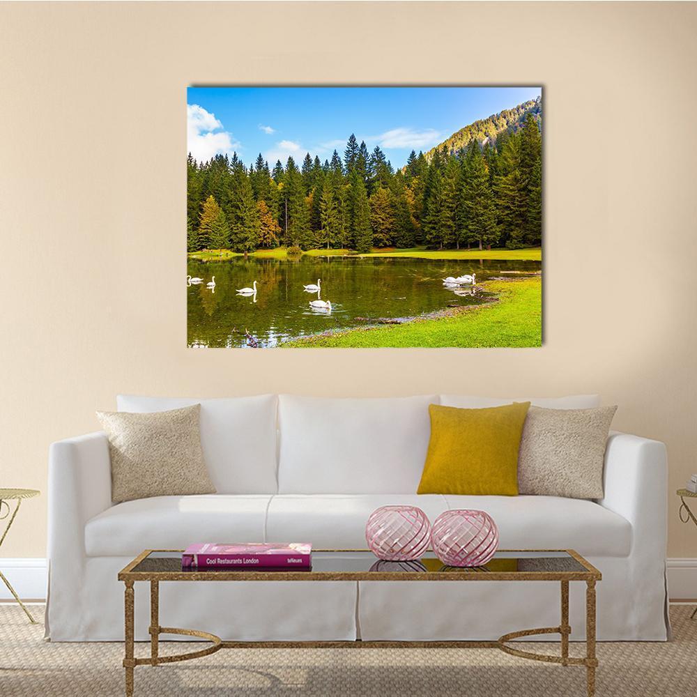 Swans In Lake In Northern Italy Canvas Wall Art-1 Piece-Gallery Wrap-48" x 32"-Tiaracle
