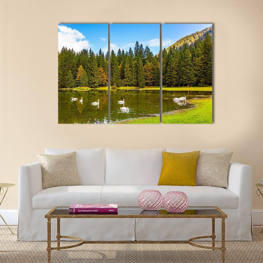Swans In Lake In Northern Italy Canvas Wall Art-3 Horizontal-Gallery Wrap-37" x 24"-Tiaracle