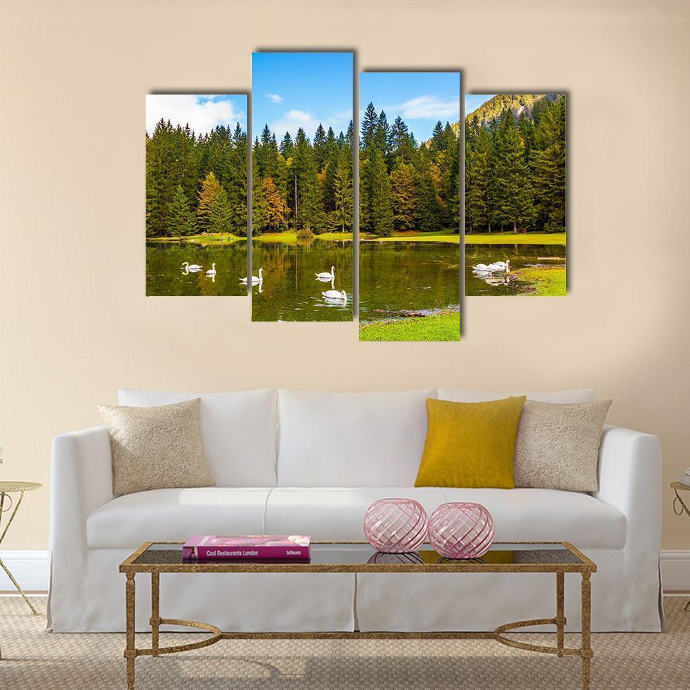 Swans In Lake In Northern Italy Canvas Wall Art-4 Pop-Gallery Wrap-50" x 32"-Tiaracle