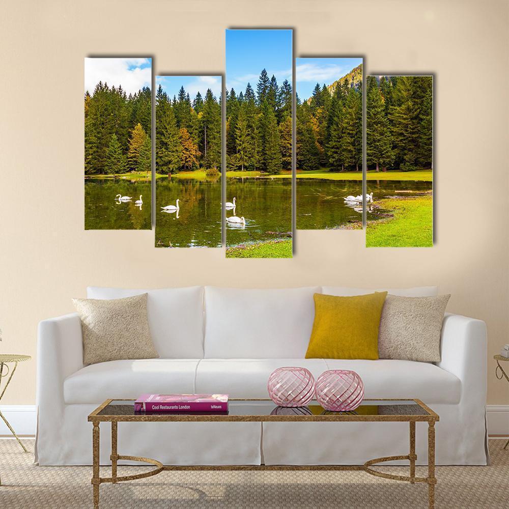 Swans In Lake In Northern Italy Canvas Wall Art-5 Pop-Gallery Wrap-47" x 32"-Tiaracle