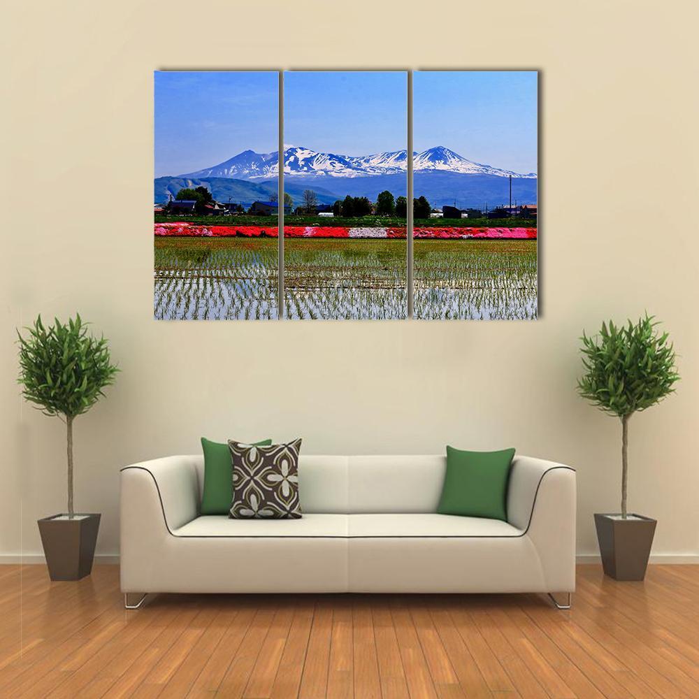 Taisetsuzan In Winter Canvas Wall Art-3 Horizontal-Gallery Wrap-37" x 24"-Tiaracle