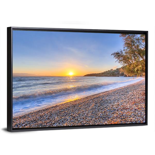 Tamarisk Tree Near Beach Canvas Wall Art-3 Horizontal-Gallery Wrap-25" x 16"-Tiaracle