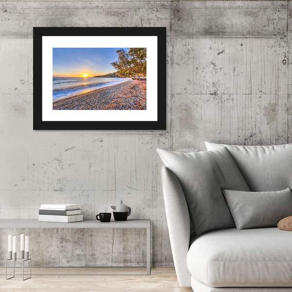 Tamarisk Tree Near Beach Canvas Wall Art-3 Horizontal-Gallery Wrap-25" x 16"-Tiaracle