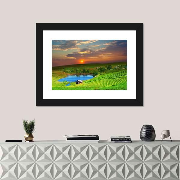 Tea Plantation Field Vietnam Canvas Wall Art-1 Piece-Framed Print-30" x 20"-Tiaracle