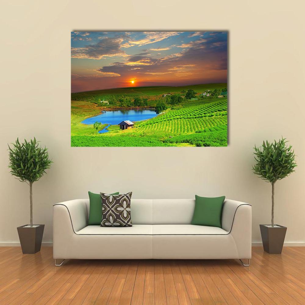 Tea Plantation Field Vietnam Canvas Wall Art-1 Piece-Gallery Wrap-36" x 24"-Tiaracle