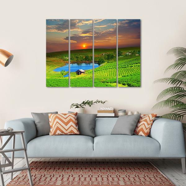 Tea Plantation Field Vietnam Canvas Wall Art-4 Horizontal-Gallery Wrap-34" x 24"-Tiaracle
