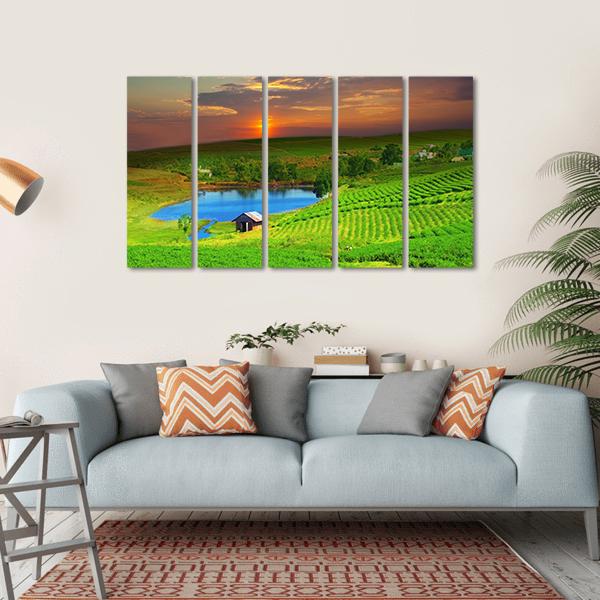 Tea Plantation Field Vietnam Canvas Wall Art-5 Horizontal-Gallery Wrap-22" x 12"-Tiaracle