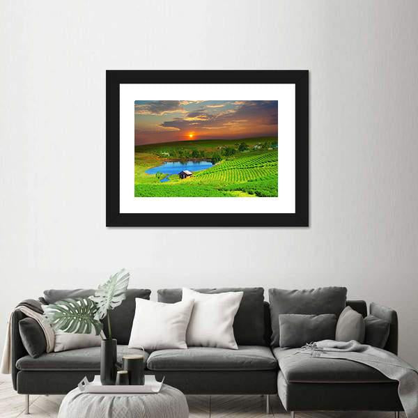 Tea Plantation Field Vietnam Canvas Wall Art-5 Horizontal-Gallery Wrap-22" x 12"-Tiaracle