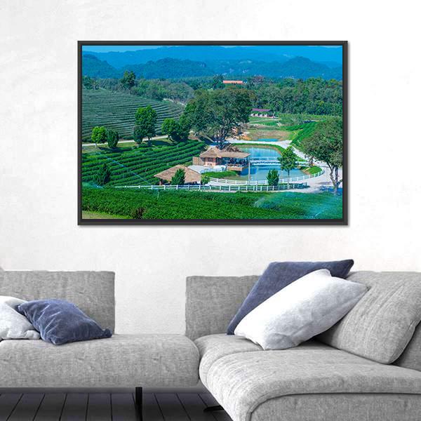 Tea Plantation In Chiang Rai Canvas Wall Art-1 Piece-Floating Frame-24" x 16"-Tiaracle
