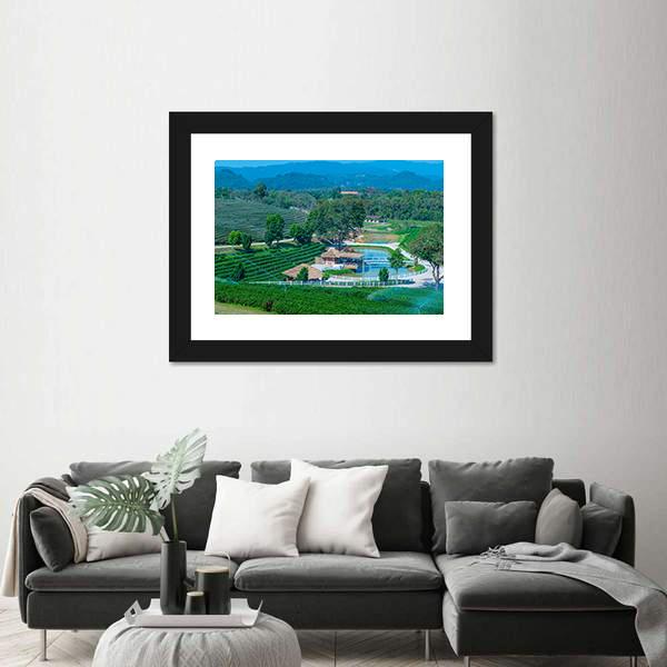 Tea Plantation In Chiang Rai Canvas Wall Art-1 Piece-Framed Print-20" x 16"-Tiaracle