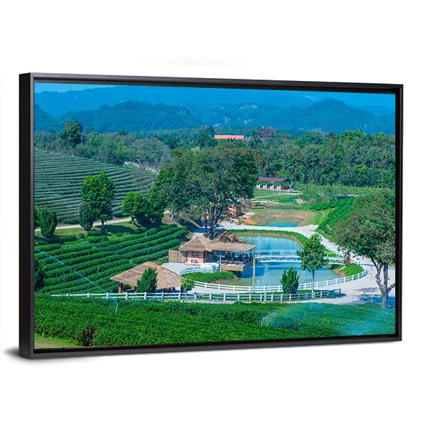Tea Plantation In Chiang Rai Canvas Wall Art-3 Horizontal-Gallery Wrap-25" x 16"-Tiaracle