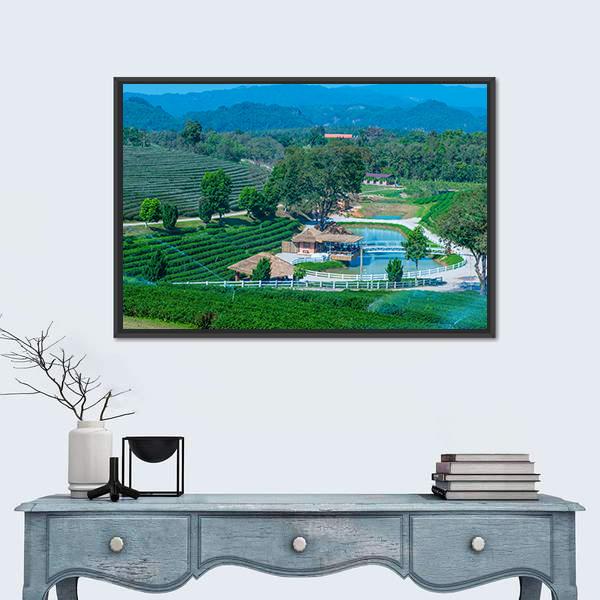 Tea Plantation In Chiang Rai Canvas Wall Art-3 Horizontal-Gallery Wrap-25" x 16"-Tiaracle