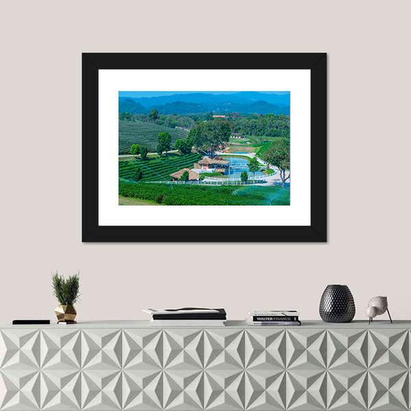 Tea Plantation In Chiang Rai Canvas Wall Art-3 Horizontal-Gallery Wrap-25" x 16"-Tiaracle