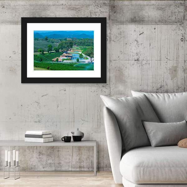 Tea Plantation In Chiang Rai Canvas Wall Art-3 Horizontal-Gallery Wrap-25" x 16"-Tiaracle