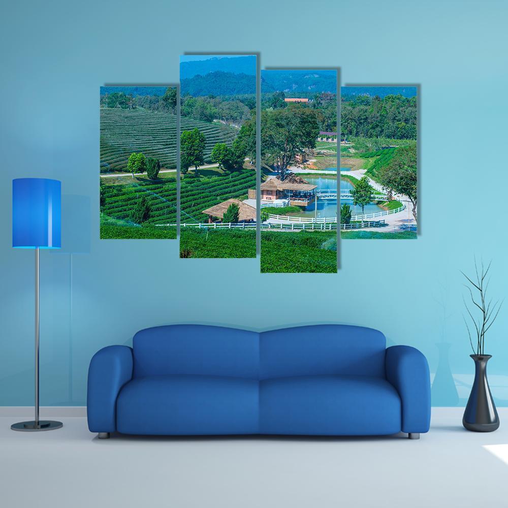 Tea Plantation In Chiang Rai Canvas Wall Art-4 Pop-Gallery Wrap-50" x 32"-Tiaracle