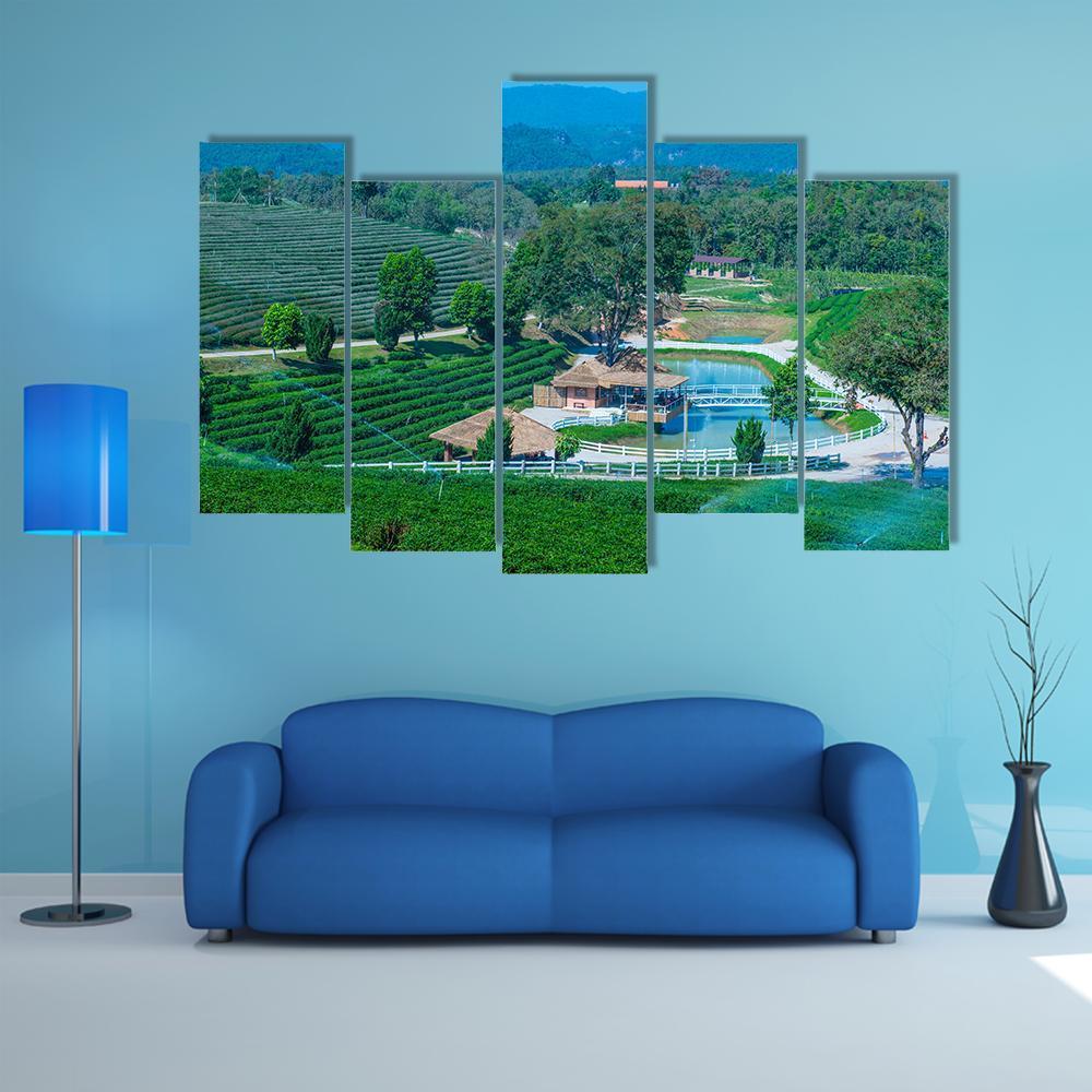 Tea Plantation In Chiang Rai Canvas Wall Art-5 Pop-Gallery Wrap-47" x 32"-Tiaracle