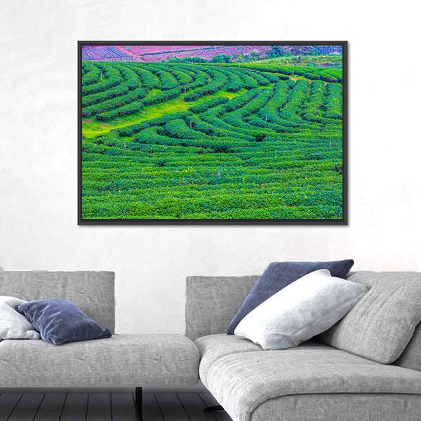 Tea Plantation In Thailand Canvas Wall Art-1 Piece-Floating Frame-24" x 16"-Tiaracle