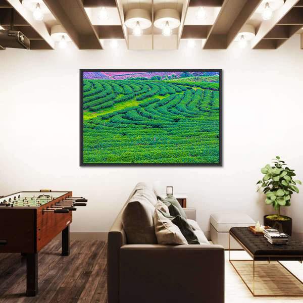 Tea Plantation In Thailand Canvas Wall Art-3 Horizontal-Gallery Wrap-25" x 16"-Tiaracle