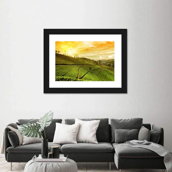 Tea Plantation Landscape Canvas Wall Art-1 Piece-Framed Print-20" x 16"-Tiaracle
