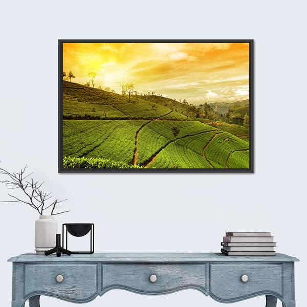 Tea Plantation Landscape Canvas Wall Art-5 Horizontal-Gallery Wrap-22" x 12"-Tiaracle