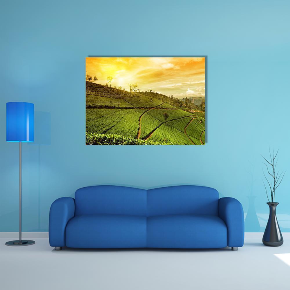 Tea Plantation Landscape Canvas Wall Art-4 Horizontal-Gallery Wrap-34" x 24"-Tiaracle