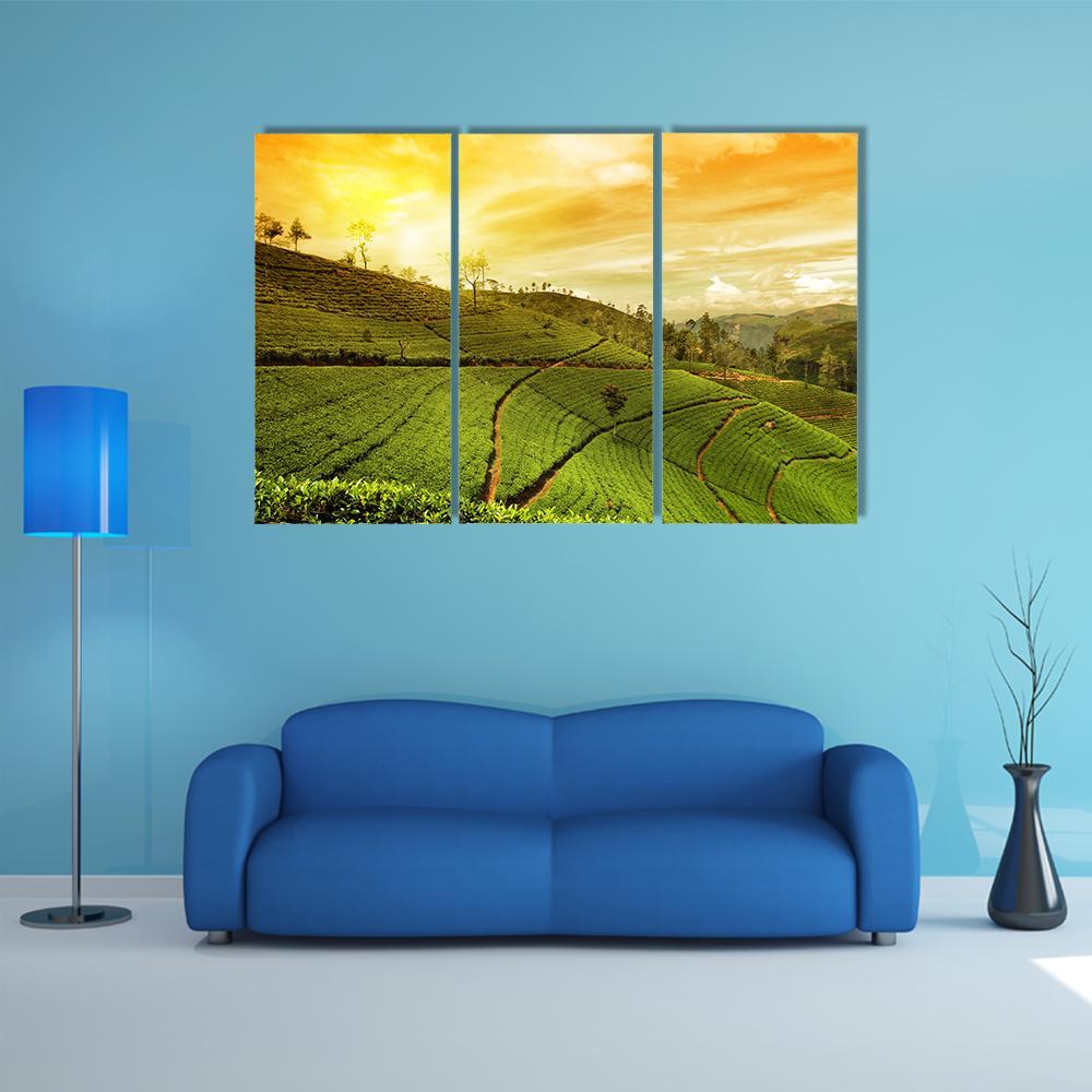 Tea Plantation Landscape Canvas Wall Art-3 Horizontal-Gallery Wrap-37" x 24"-Tiaracle