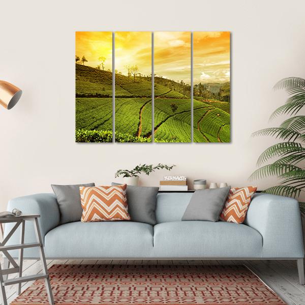 Tea Plantation Landscape Canvas Wall Art-4 Horizontal-Gallery Wrap-34" x 24"-Tiaracle