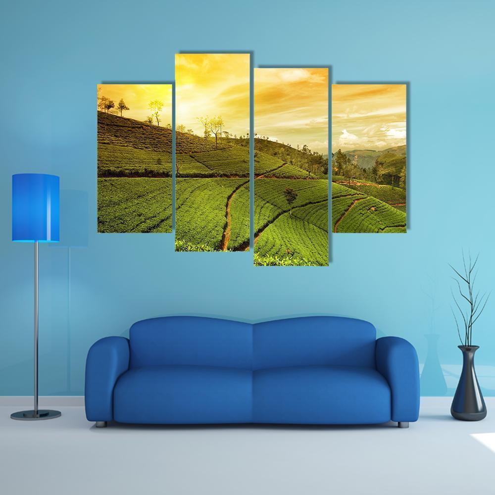Tea Plantation Landscape Canvas Wall Art-4 Pop-Gallery Wrap-50" x 32"-Tiaracle