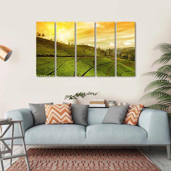 Tea Plantation Landscape Canvas Wall Art-5 Horizontal-Gallery Wrap-22" x 12"-Tiaracle