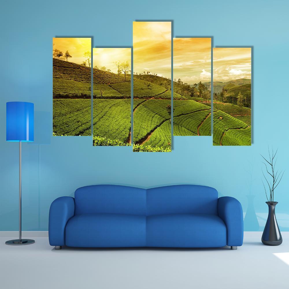 Tea Plantation Landscape Canvas Wall Art-5 Pop-Gallery Wrap-47" x 32"-Tiaracle