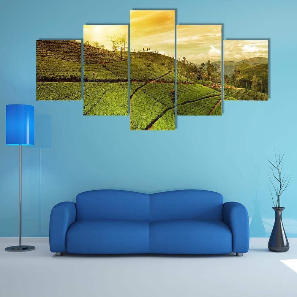 Tea Plantation Landscape Canvas Wall Art-5 Pop-Gallery Wrap-47" x 32"-Tiaracle