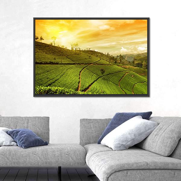 Tea Plantation Landscape Panoramic Canvas Wall Art-1 Piece-36" x 12"-Tiaracle