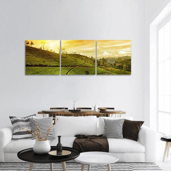 Tea Plantation Landscape Panoramic Canvas Wall Art-3 Piece-25" x 08"-Tiaracle