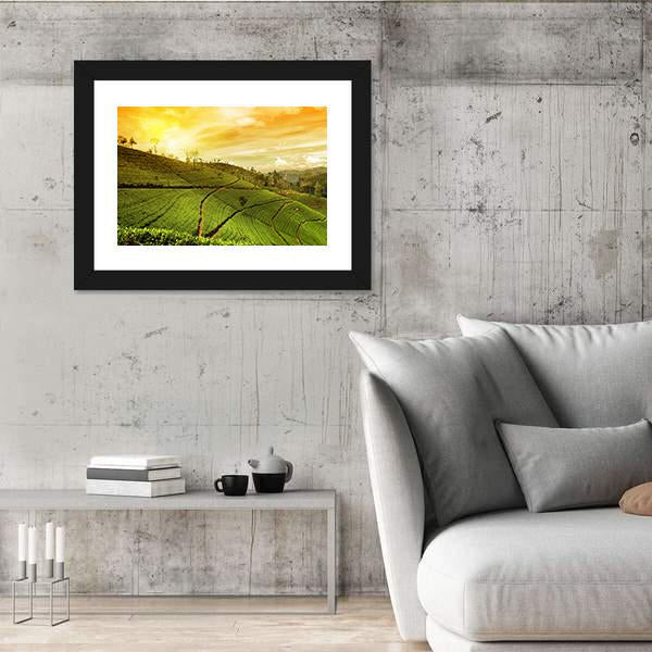 Tea Plantation Landscape Panoramic Canvas Wall Art-1 Piece-36" x 12"-Tiaracle